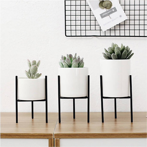Home Decoration