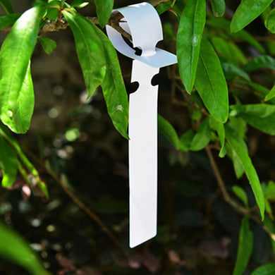 Tags Gardening