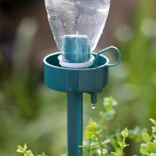 Automatic Self-Watering
