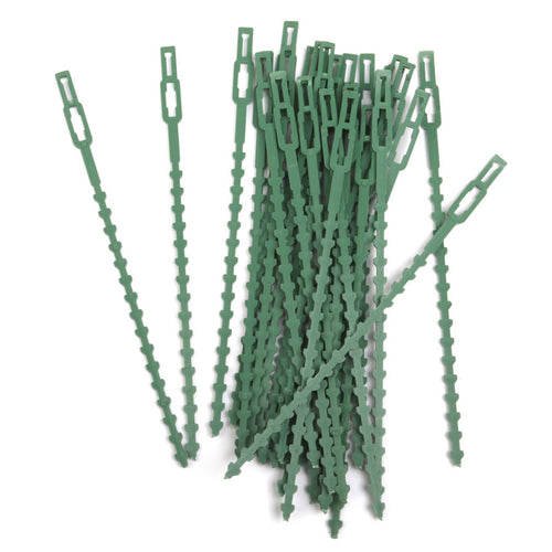 Vines Buckle Plastic