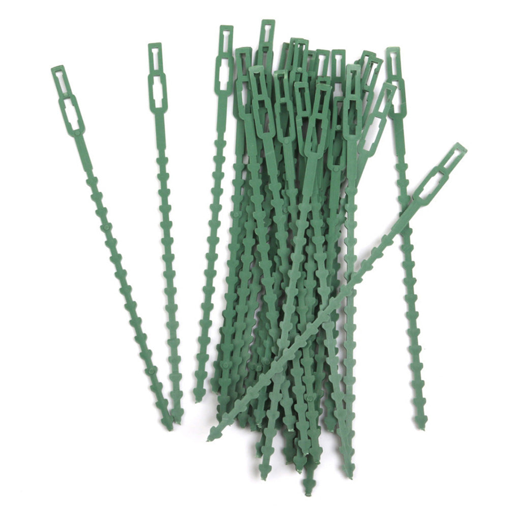 Vines Buckle Plastic