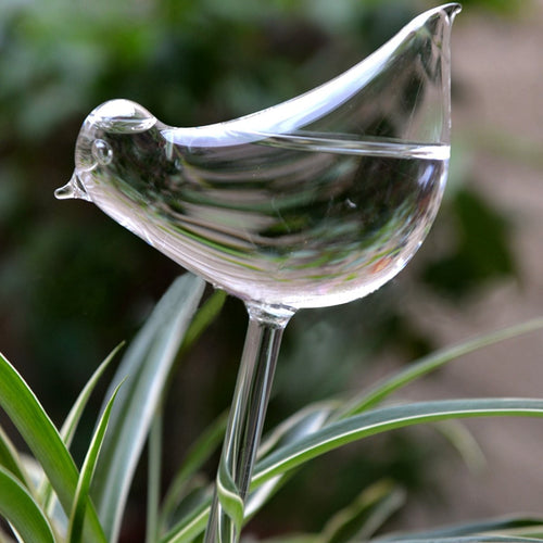Water Feeder