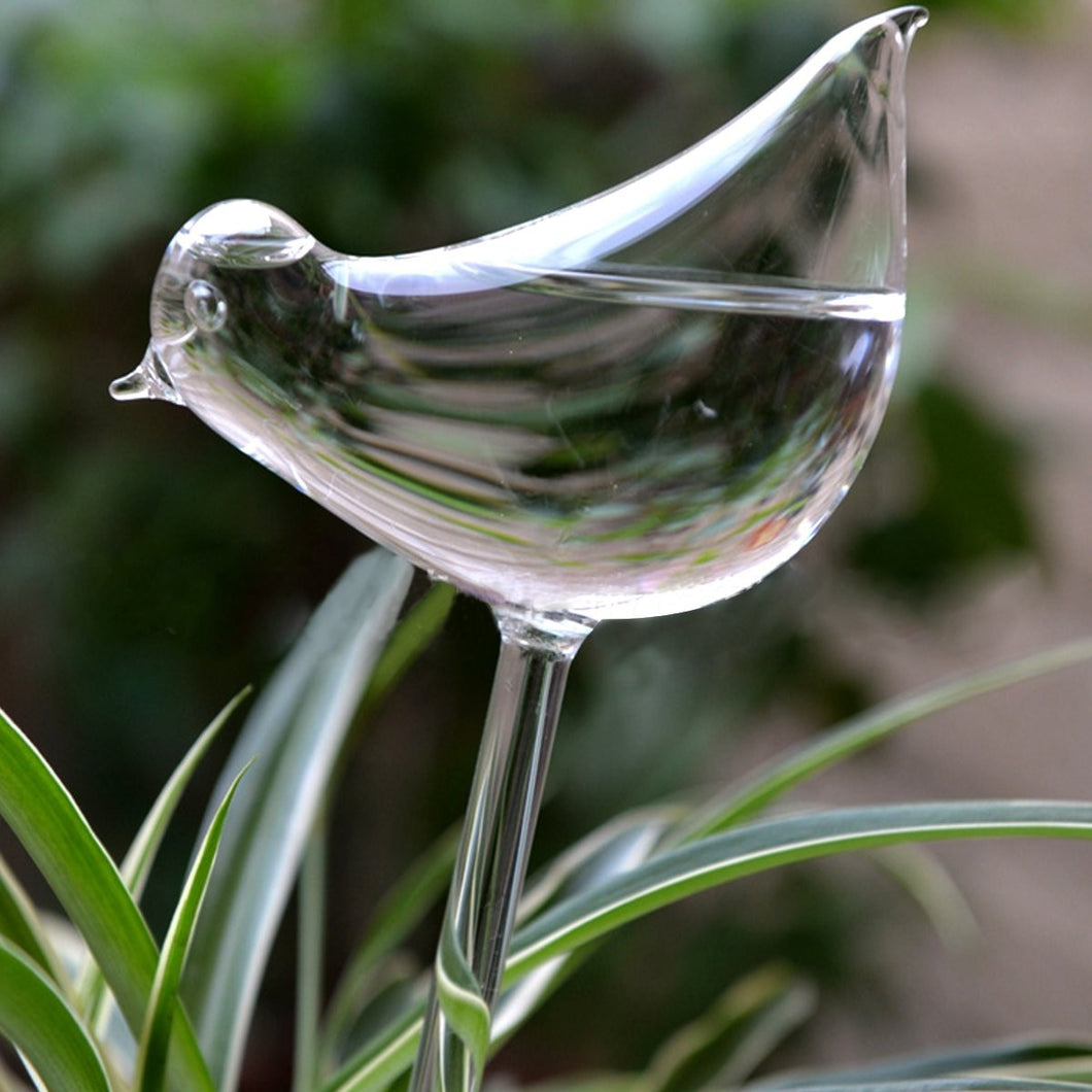 Water Feeder
